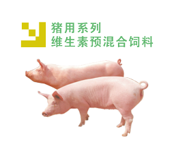 猪用系列 维生素预混合饲料